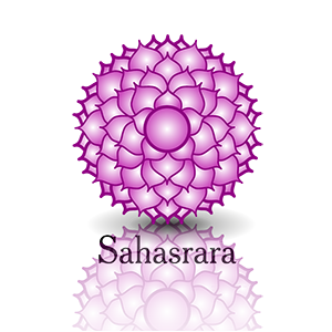 7 chakra sahasrara