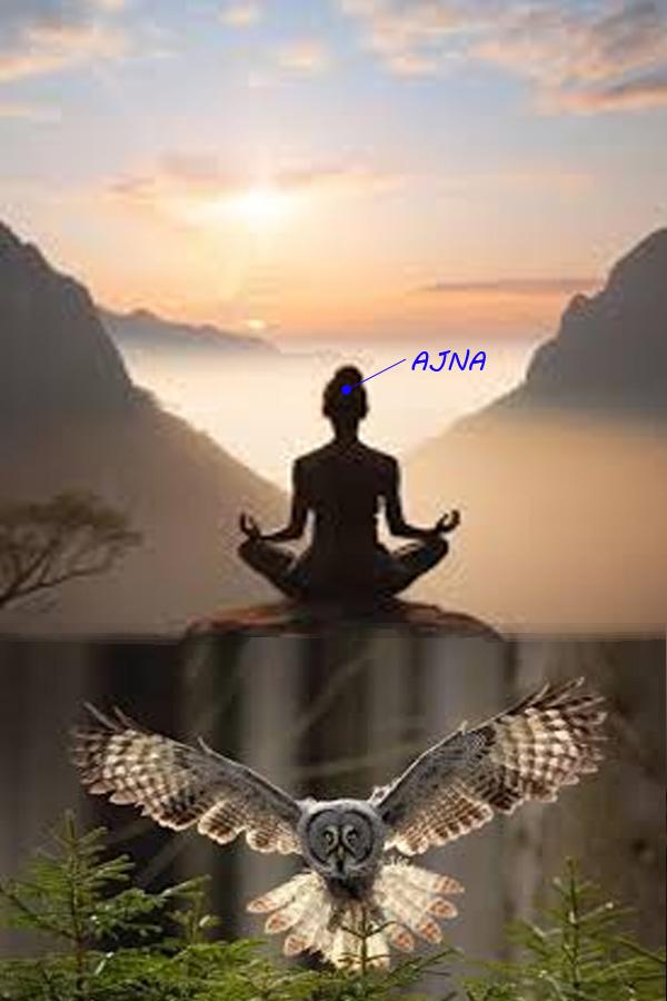 Decos de cec et litho chakra ajnachakra meditation double 1