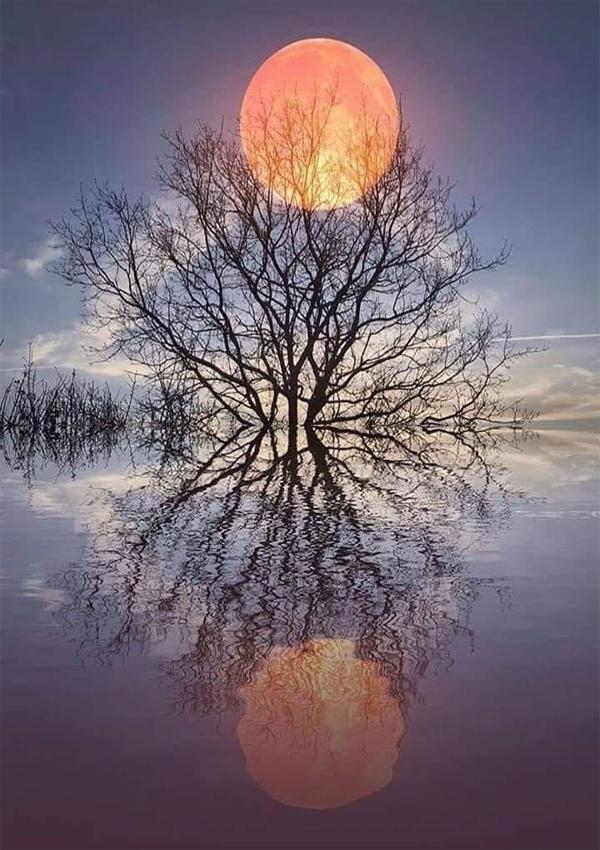 Decosdececetlitho meditation paysage